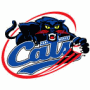 Fort Worth Cats