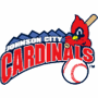 Johnson City Cardinals