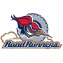 Edmonton Roadrunners