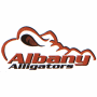 Albany Alligators