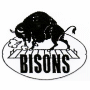 Buffalo Bisons