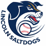 Lincoln Saltdogs