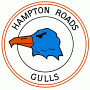 Hampton Roads Gulls