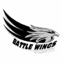 Bossier-Shreveport Battle Wings