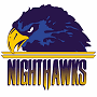 Norfolk Nighthawks