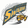 Cincinnati Swarm
