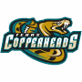 Texas Copperheads