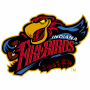 Indiana Firebirds