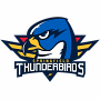 Springfield Thunderbirds