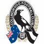 Collingwood Magpies