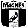 Collingwood Magpies