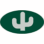 Peoria Saguaros