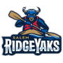 Salem RidgeYaks