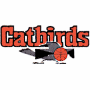 Louisville Catbirds
