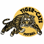 Hamilton Tigers