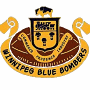 Winnipeg Blue Bombers
