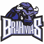 Texas Brahmas