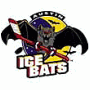 Austin Ice Bats