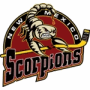 New Mexico Scorpions