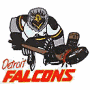 Detroit Falcons