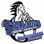 New Jersey Stallions