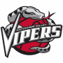 Rio Grande Valley Vipers