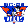 Westchester Knicks