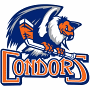 Bakersfield Condors