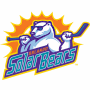 Orlando Solar Bears