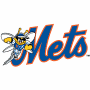 Binghamton Mets