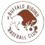 Buffalo Bisons