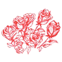 Lancaster Red Roses