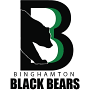 Binghamton Black Bears
