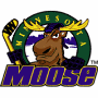 Minnesota Moose