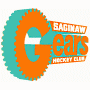 Saginaw Gears