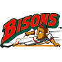 Buffalo Bisons