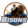 Buffalo Bisons