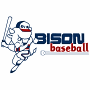 Buffalo Bisons