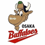 Osaka Kintetsu Buffaloes