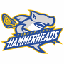 Connecticut Hammerheads