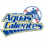 Aguascalientes Rieleros