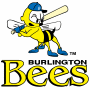 Burlington Bees