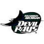 Southwest Michigan Devil Rays