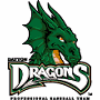 Dayton Dragons