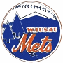 Wausau Mets