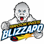 Brookings Blizzard