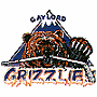 Gaylord Grizzlies