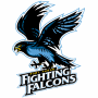 Port Huron Fighting Falcons