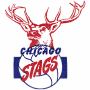 Chicago Stags