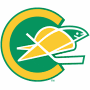 California Golden Seals